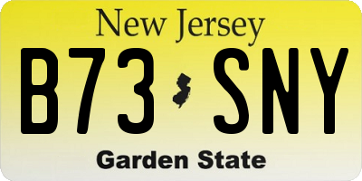 NJ license plate B73SNY