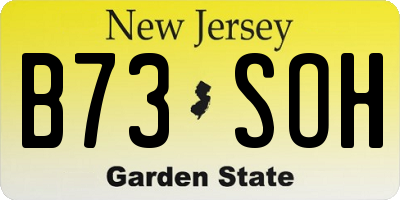 NJ license plate B73SOH