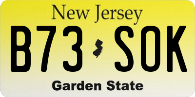 NJ license plate B73SOK