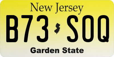 NJ license plate B73SOQ