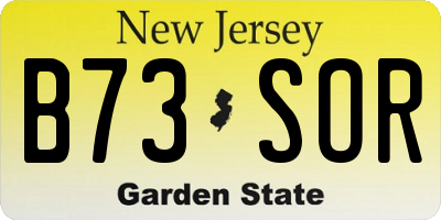 NJ license plate B73SOR