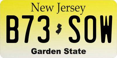 NJ license plate B73SOW