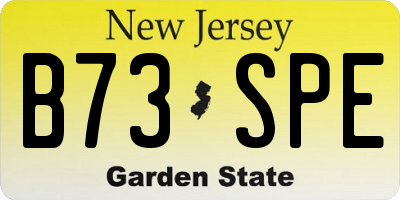 NJ license plate B73SPE