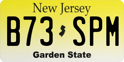 NJ license plate B73SPM