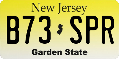 NJ license plate B73SPR