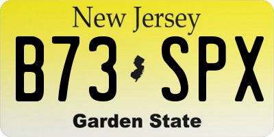 NJ license plate B73SPX