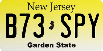 NJ license plate B73SPY