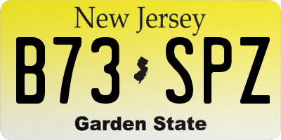 NJ license plate B73SPZ