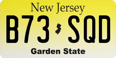 NJ license plate B73SQD
