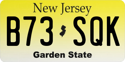 NJ license plate B73SQK