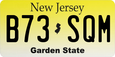 NJ license plate B73SQM