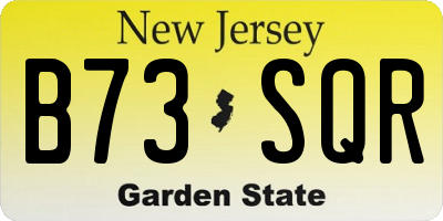 NJ license plate B73SQR