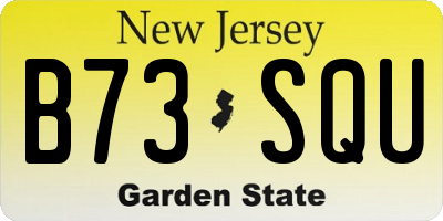 NJ license plate B73SQU