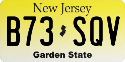 NJ license plate B73SQV