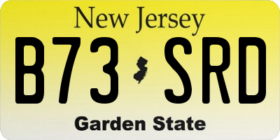 NJ license plate B73SRD