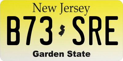 NJ license plate B73SRE