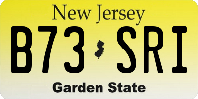 NJ license plate B73SRI
