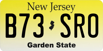 NJ license plate B73SRO