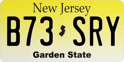 NJ license plate B73SRY