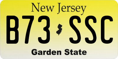 NJ license plate B73SSC