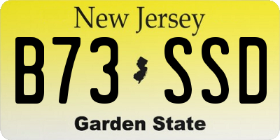 NJ license plate B73SSD