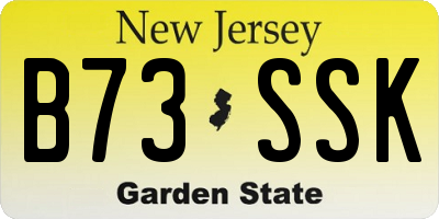 NJ license plate B73SSK