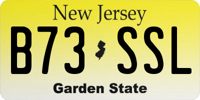 NJ license plate B73SSL