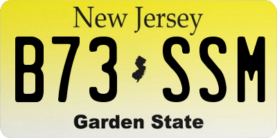 NJ license plate B73SSM