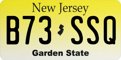 NJ license plate B73SSQ