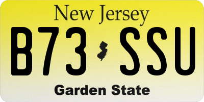 NJ license plate B73SSU