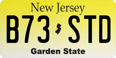 NJ license plate B73STD
