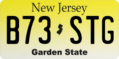 NJ license plate B73STG