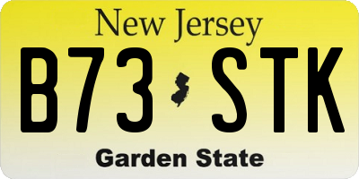 NJ license plate B73STK