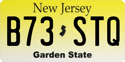 NJ license plate B73STQ