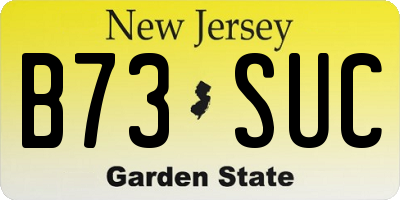 NJ license plate B73SUC