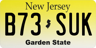 NJ license plate B73SUK