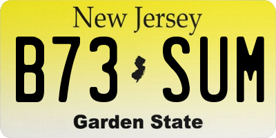 NJ license plate B73SUM