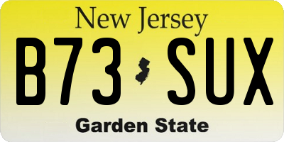 NJ license plate B73SUX