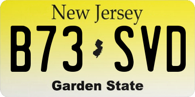 NJ license plate B73SVD