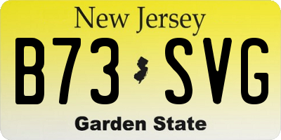 NJ license plate B73SVG