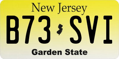 NJ license plate B73SVI