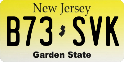NJ license plate B73SVK
