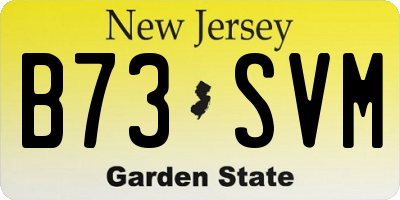 NJ license plate B73SVM
