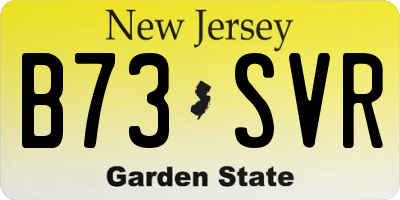 NJ license plate B73SVR