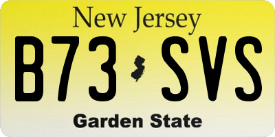 NJ license plate B73SVS