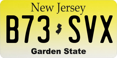 NJ license plate B73SVX