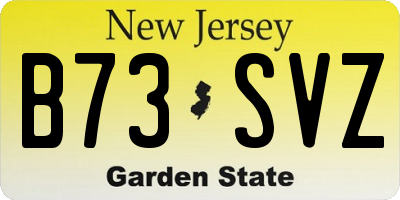 NJ license plate B73SVZ