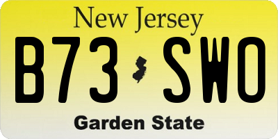 NJ license plate B73SWO