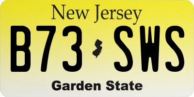 NJ license plate B73SWS