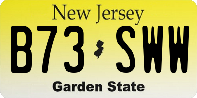 NJ license plate B73SWW